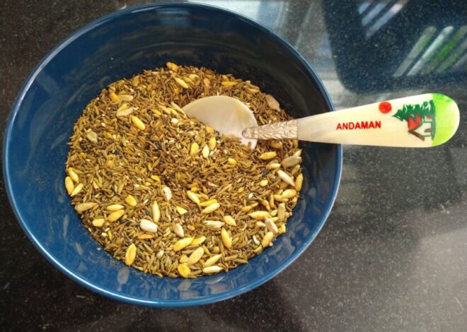 A Spoonful of Wellness: Immunity Booster