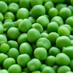 how to preserve green peas for long time