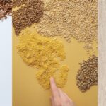 Simple ways to protect Dals Food grains from insects at home