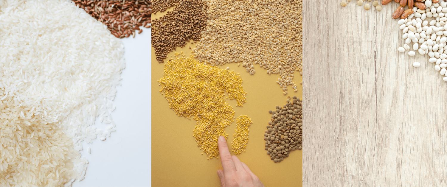 Simple ways to protect Food grains from insects