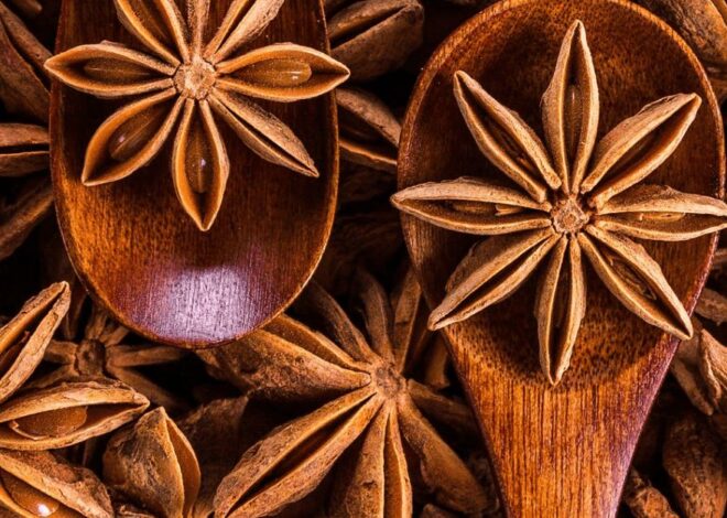 “STAR ANISE”-Know the star of your kitchen