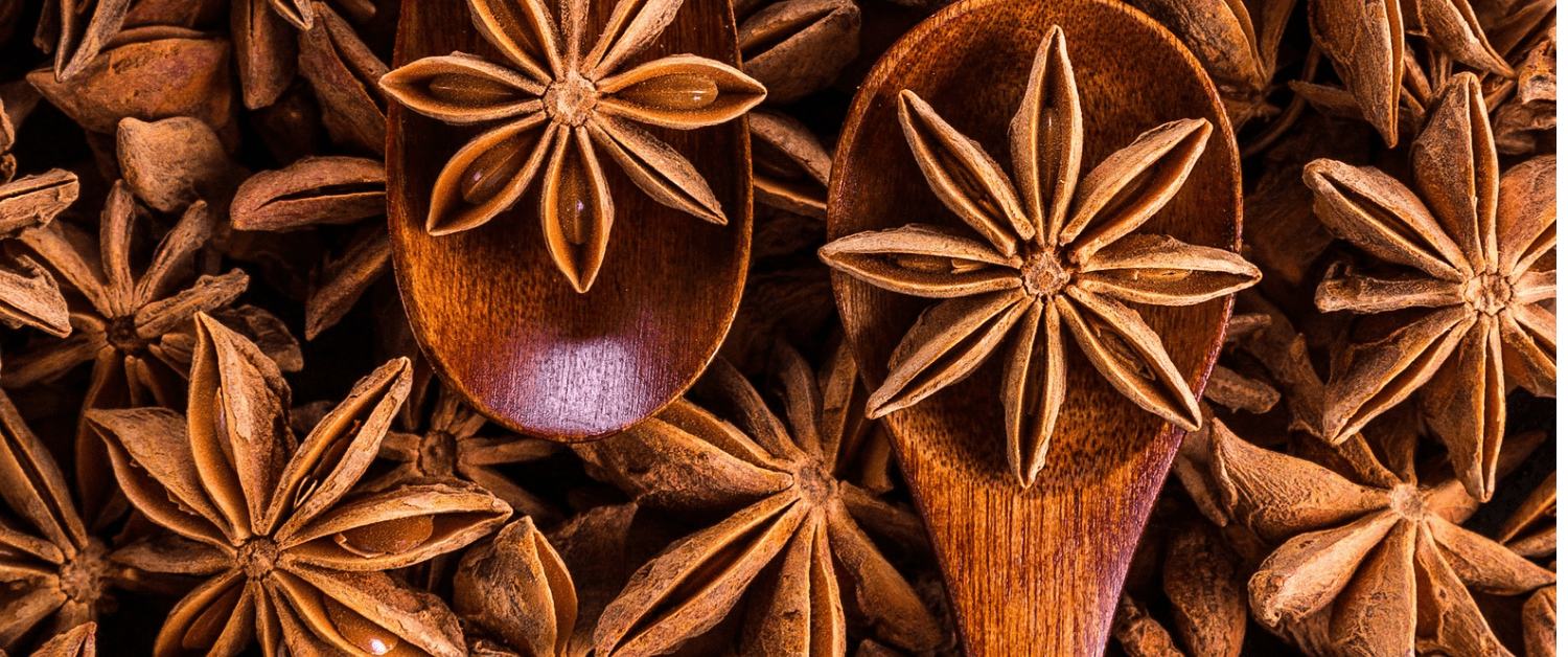 “STAR ANISE”-Know the star of your kitchen