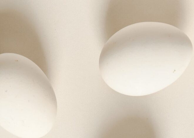 Simple ways to find out if the Egg is fresh