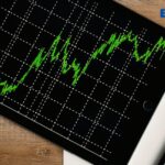 what are blue chip stocks