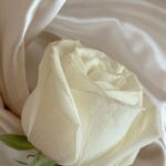 Few tips to identify purity of Silk Saree Fabric