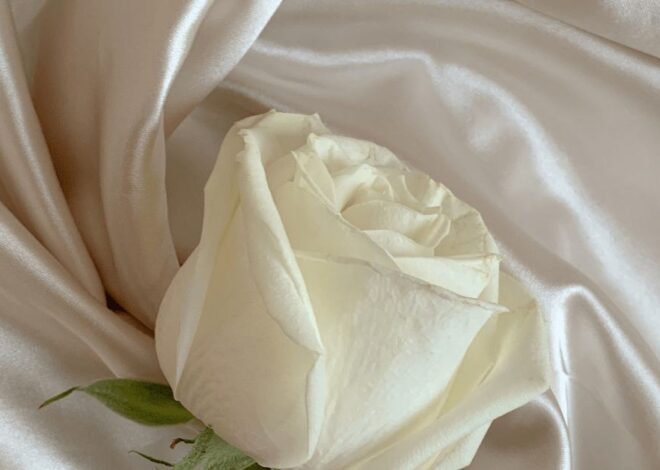 Few tips to identify purity of Silk Saree/Fabric