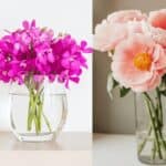 tips to keep flowers fresh for long