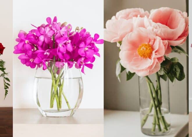 Tips to keep Flowers Fresh for Long