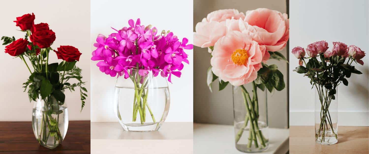 Tips to keep Flowers Fresh for Long