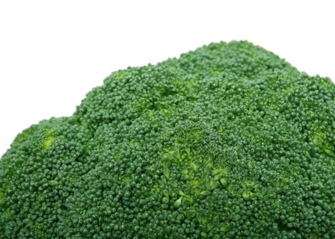 Washing and Storing Broccoli the right way