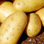 some clever ways to store potatoes