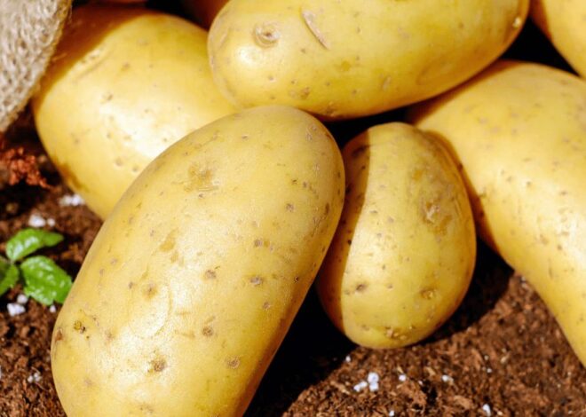 Some clever ways to store Potatoes