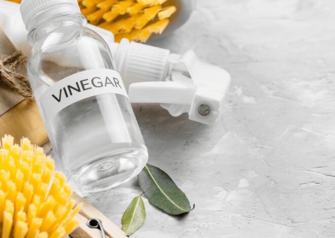 Few Incredible uses of Vinegar