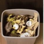clever ways to prevent odor in trash cans