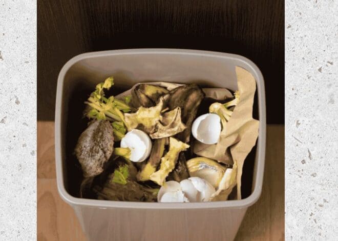 Clever ways to prevent odor in Trash Cans