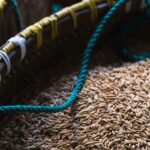 are you using adulterated jeera cumin