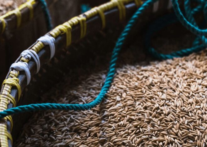 Are you using Adulterated Jeera/Cumin?