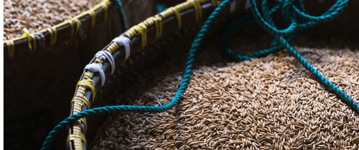 Are you using Adulterated Jeera/Cumin?