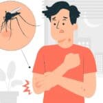 effective natural mosquito repellents to keep them away