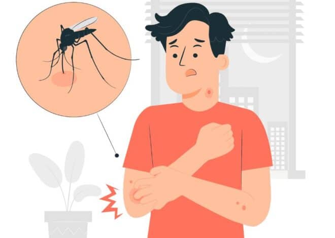 Effective natural Mosquito Repellents to keep them away