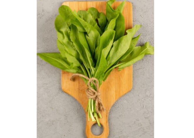 How to Boil Palak Without Losing Colour