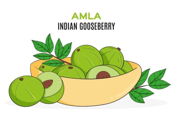 “India’s Timeless Superfood Amla”-Benefits, Storage Tips & Daily Uses