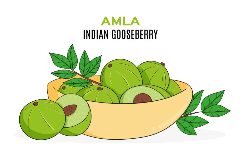 “India’s Timeless Superfood Amla”-Benefits, Storage Tips & Daily Uses