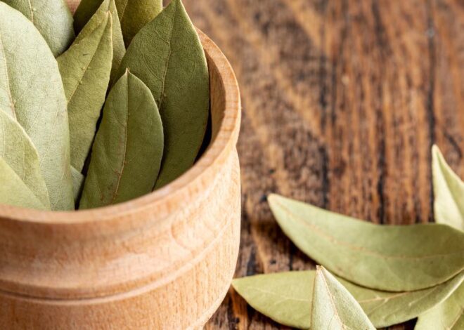 10 Exceptional Uses of Bay Leaf in daily Life