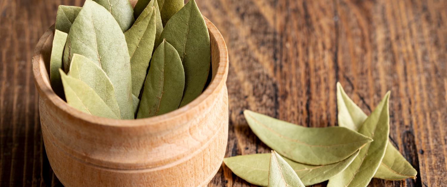 10 Exceptional Uses of Bay Leaf in daily Life