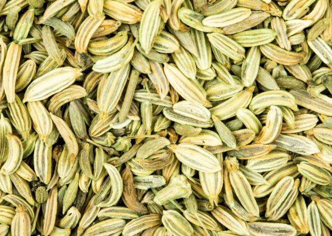 Fennel Tea: A Complete Guide to Benefits, Origin, Brewing Tips & Best Time to Drink