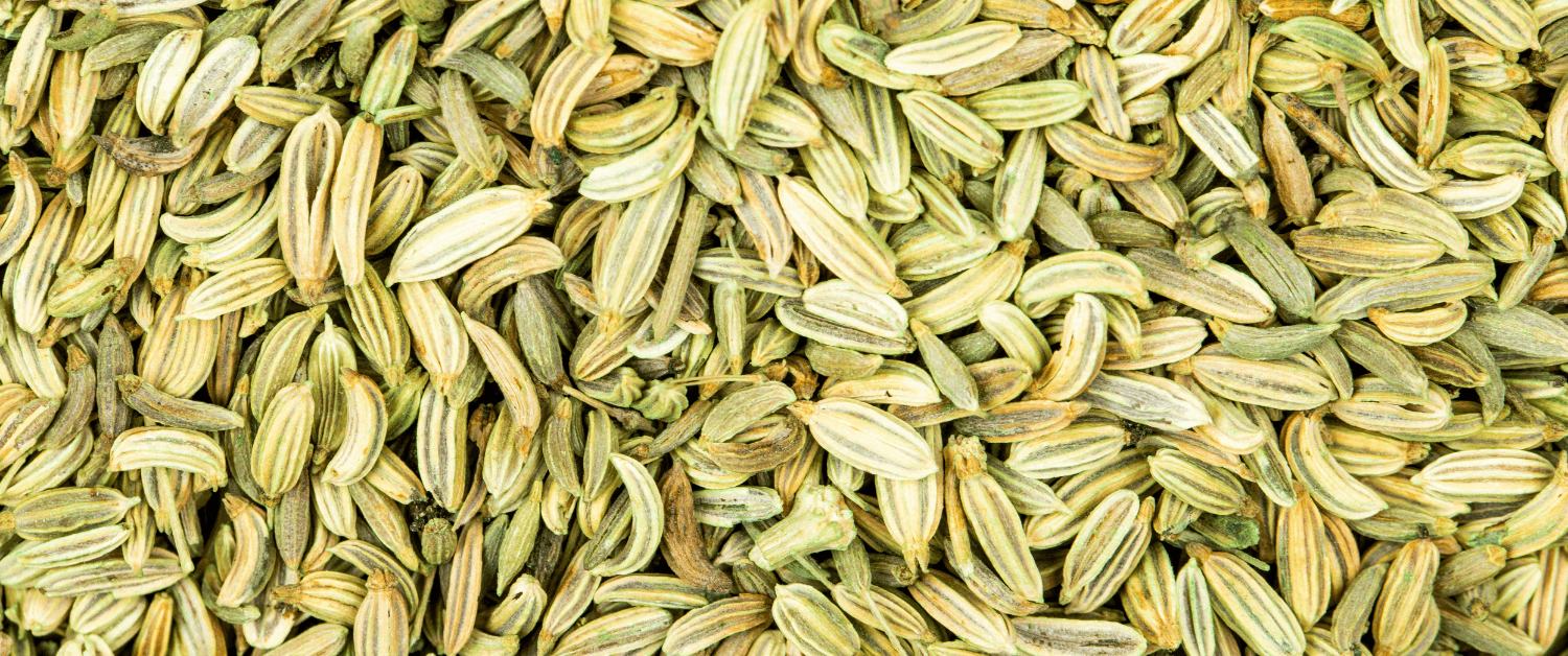 Fennel Tea: A Complete Guide to Benefits, Origin, Brewing Tips & Best Time to Drink